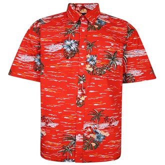 SH346 Hawaiian Print Shirt 2-8xl